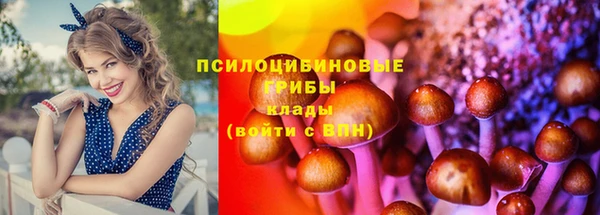 метадон Бородино